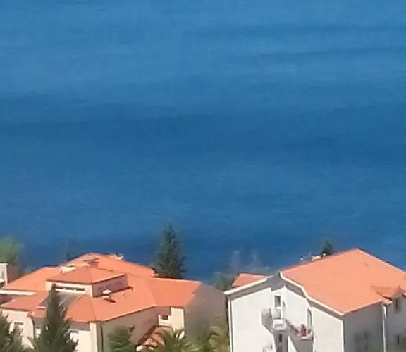 Sunny Blue Apartments